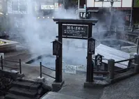 野沢温泉の写真・動画_image_569220