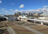 デカパトスの写真・動画_image_572313