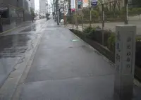 長尾街道の写真・動画_image_577541