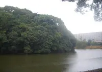 反正天皇陵の写真・動画_image_577543