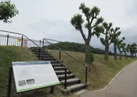 土師ニサンザイ古墳の写真・動画_image_578423
