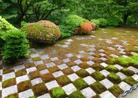 東福寺の写真・動画_image_579345