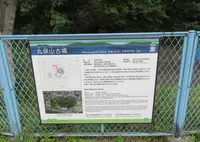 丸保山古墳(仁徳天皇陵陪塚へ号)の写真・動画_image_581096