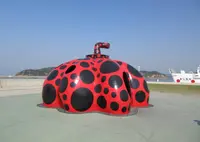 赤かぼちゃの写真・動画_image_581401