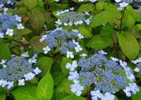 霊源院の写真・動画_image_583298