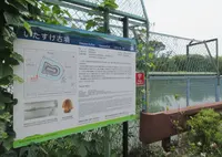 いたすけ古墳の写真・動画_image_583990