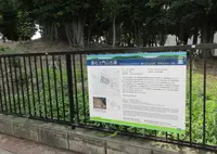 善右ヱ門山古墳の写真・動画_image_583991