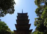 妙成寺の写真・動画_image_599355