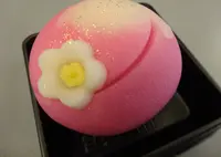 （株）森八 金沢駅百番街店の写真・動画_image_599375