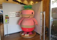 丹波竜化石工房ちーたんの館の写真・動画_image_608840