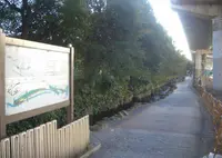 十三間川のせせらぎの写真・動画_image_613821