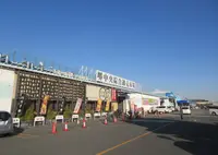 堺中央綜合卸売市場協同組合の写真・動画_image_613862