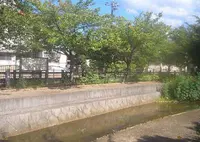 長瀬川遊歩道の写真・動画_image_625798