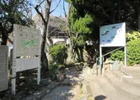 国府山城址の写真・動画_image_625992