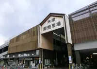 大阪木津市場（株）の写真・動画_image_631607