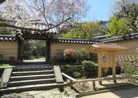 浄瑠璃寺の写真・動画_image_647586