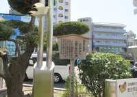 忍ヶ丘駅の写真・動画_image_650274