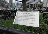 花の散歩道の写真・動画_image_658098