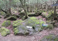 鬼の足跡の写真・動画_image_662572