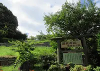 歴史の丘展望台公園の写真・動画_image_677491