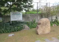 生田川公園の写真・動画_image_683510