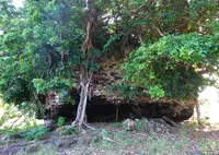 崎原公園の写真・動画_image_689110