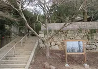 軽部神社の写真・動画_image_710867