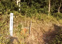 天神山城跡の写真・動画_image_711610