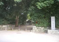 糺ノ森の写真・動画_image_720907
