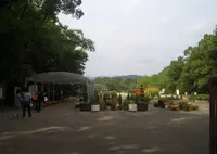 京都府立植物園の写真・動画_image_720908