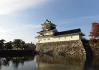 富山城址公園の写真・動画_image_737266