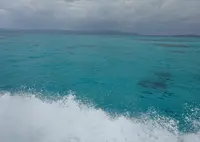 西表島の写真・動画_image_746668