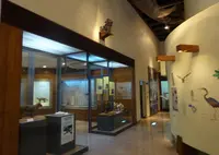 西表野生生物保護センターの写真・動画_image_746679