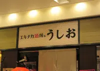うしおの写真・動画_image_749568