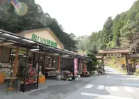 思い出博物館の写真・動画_image_757843