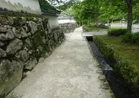 坂本の写真・動画_image_771314