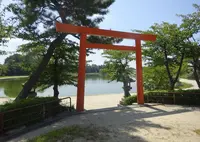 天王川公園の写真・動画_image_794309