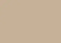 両国うどんの写真・動画_image_799337