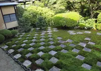 東福寺の写真・動画_image_890383