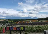 四季彩の丘の写真・動画_image_924257