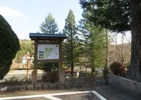 エーデルささゆりの写真・動画_image_924949