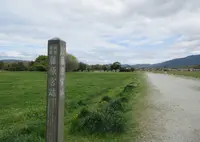 藤原宮跡の写真・動画_image_933323