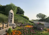 ハヌル公園/ハヌルコンウォン/하늘공원の写真・動画_image_964718