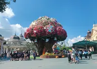 エバーランド/에버랜드の写真・動画_image_967543