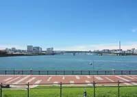 春海橋公園の写真・動画_image_970336