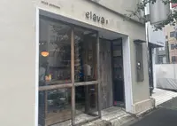 minä perhonen elävä Ⅰの写真・動画_image_986313