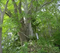 えぼし荘の写真・動画_image_61110