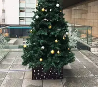 T・ジョイPRINCE品川の写真・動画_image_209703