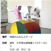 のぼりべつクマ牧場の写真・動画_image_143421