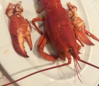 ボストン・クラムシャック (Boston Clam Shack Seafood Company)の写真・動画_image_35796